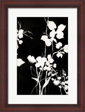 Framed Silhouette Leaves 1 Print