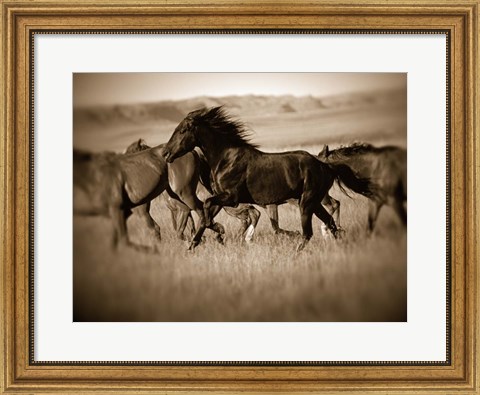 Framed Dark Horse Print