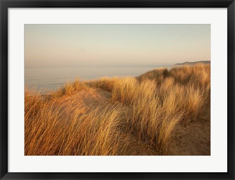 Framed Dunes with Seagulls 7 Print