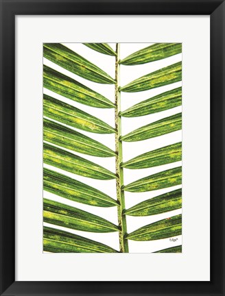 Framed Leaf Study II Print