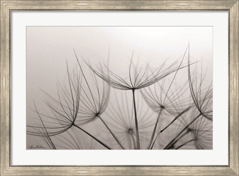 Framed Love is a Delicate Flower Print