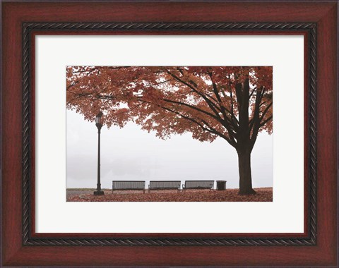 Framed Place to Dream Print