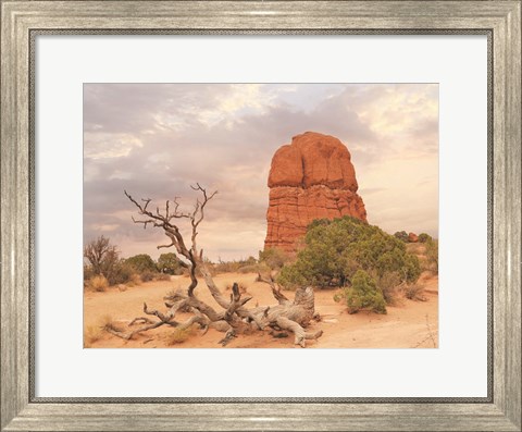 Framed Dusty Desert I Print
