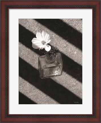 Framed Cosmos and Shadows Print
