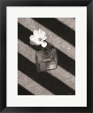 Framed Cosmos and Shadows Print