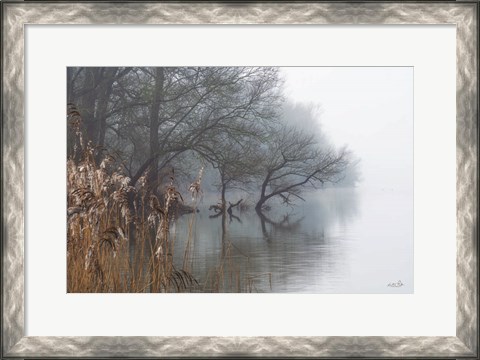 Framed In the Swamps Print