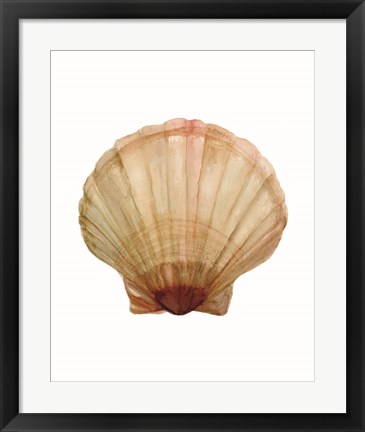 Framed Neutral Shell Collection 2 Print