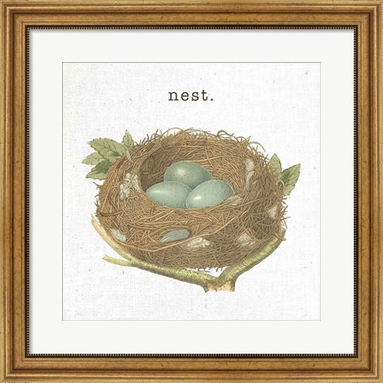 Framed Spring Nest III Nest Print