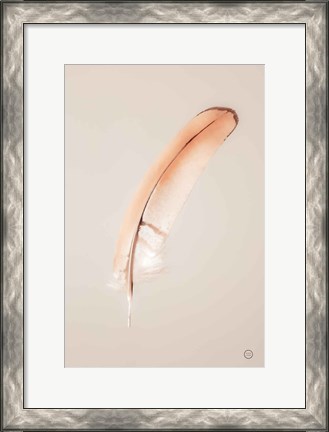 Framed Floating Feathers III Print