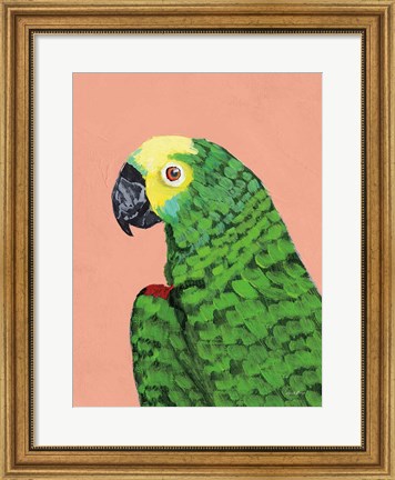Framed Parrot Head Print
