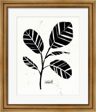 Framed Botanical Sketches IV Print