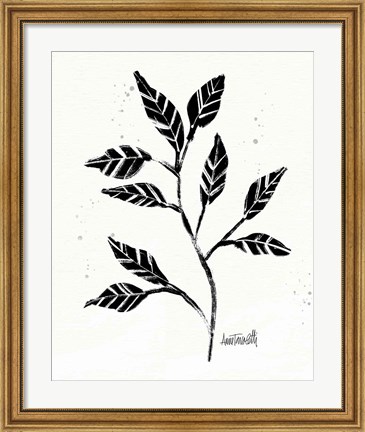 Framed Botanical Sketches V Print