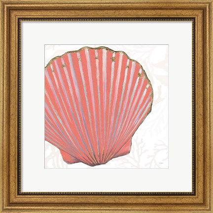 Framed Shimmering Shells XI Print