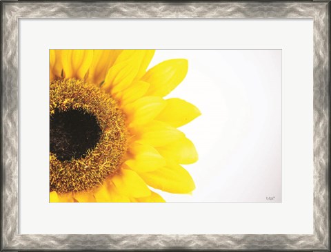 Framed Sunflower Close-up Print