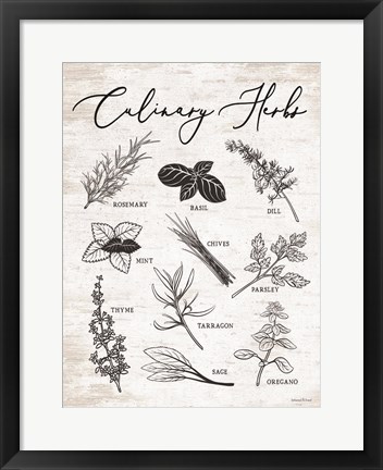 Framed Culinary Herbs Print