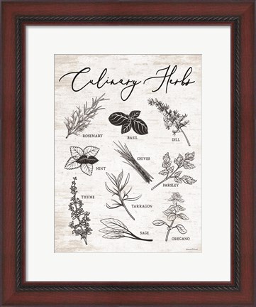 Framed Culinary Herbs Print