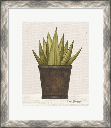 Framed Potted Aloe Vera Print