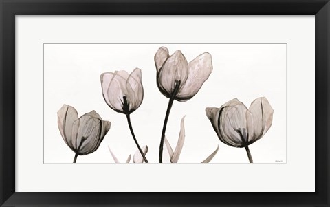 Framed Floral Simplicity Print