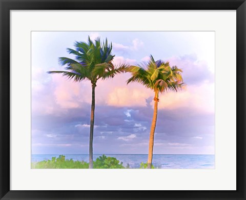 Framed Two Palms Print