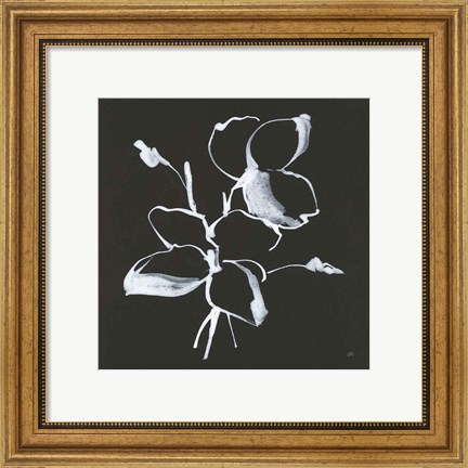 Framed Wildflowers IV Print