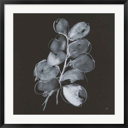 Framed White Eucalyptus II Print