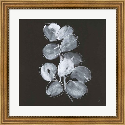 Framed White Eucalyptus I Print