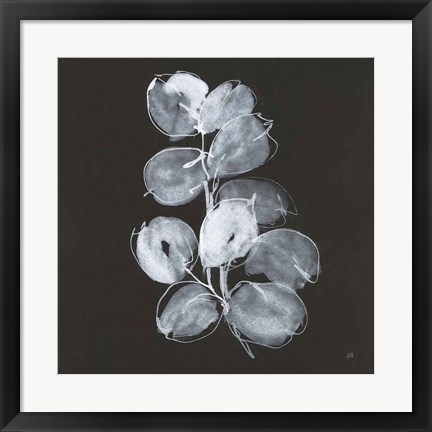 Framed White Eucalyptus I Print