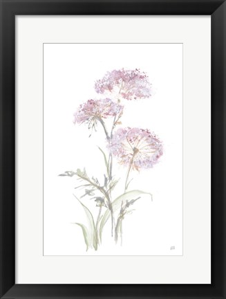 Framed Tall Queen Annes Lace III Print