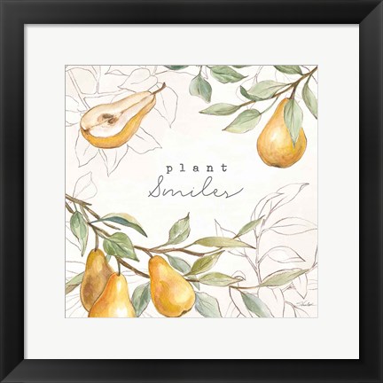 Framed In the Orchard III Print