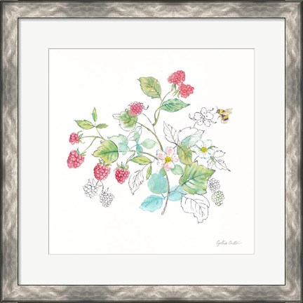 Framed Berries and Bees V Print