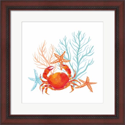 Framed Coral Aqua VIII Print