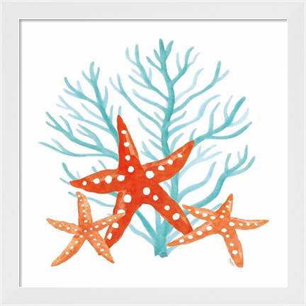 Framed Coral Aqua XIII Print