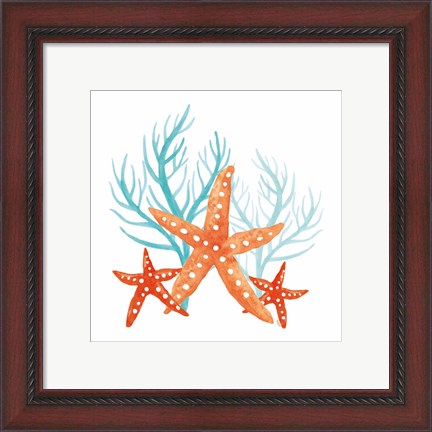 Framed Coral Aqua XIV Print