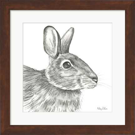 Framed Watercolor Pencil Forest II-Rabbit Print