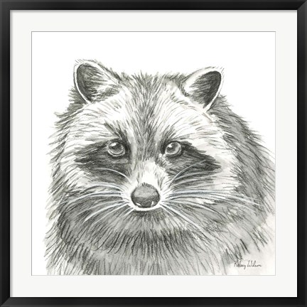 Framed Watercolor Pencil Forest VI-Raccoon Print