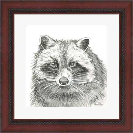 Framed Watercolor Pencil Forest VI-Raccoon Print