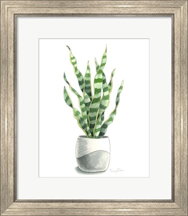 Framed Potted Exotics I Print