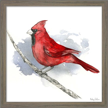 Framed Birds &amp; Branches I-Cardinal Print