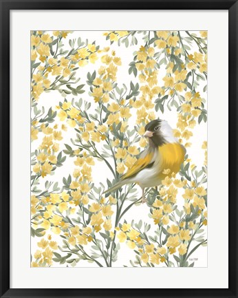 Framed Yellow Spring Finch Print