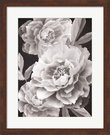 Framed Black and White Peonies Print