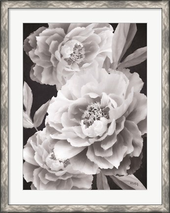 Framed Black and White Peonies Print