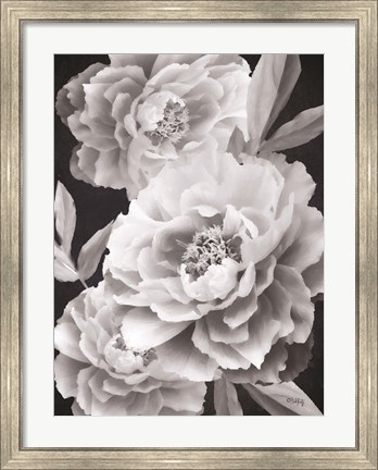 Framed Black and White Peonies Print