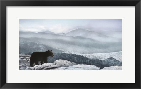 Framed Cascade Mountain Bear Print