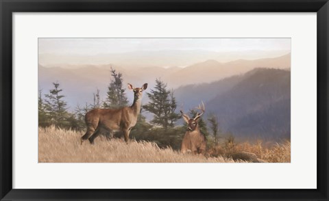 Framed Cascade Mountain Deer Print
