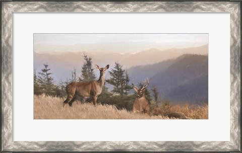 Framed Cascade Mountain Deer Print