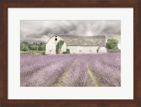 Framed Shades of Lavender and Gray Print