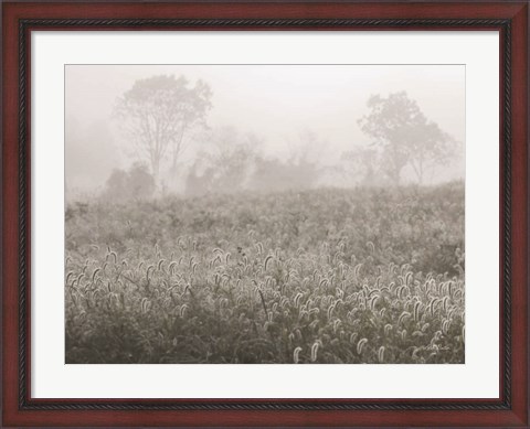 Framed Dreamy Field Print