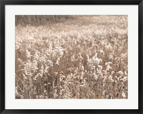 Framed Fall Field Print
