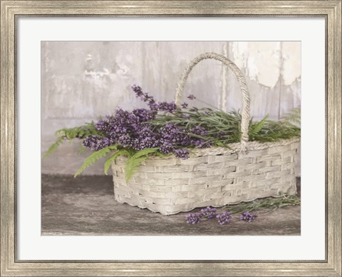 Framed My Lavender Print