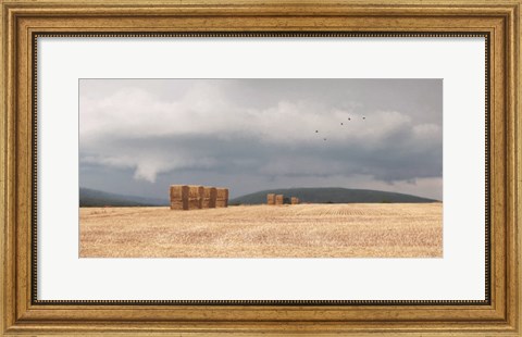 Framed Stormy Day Harvest I Print